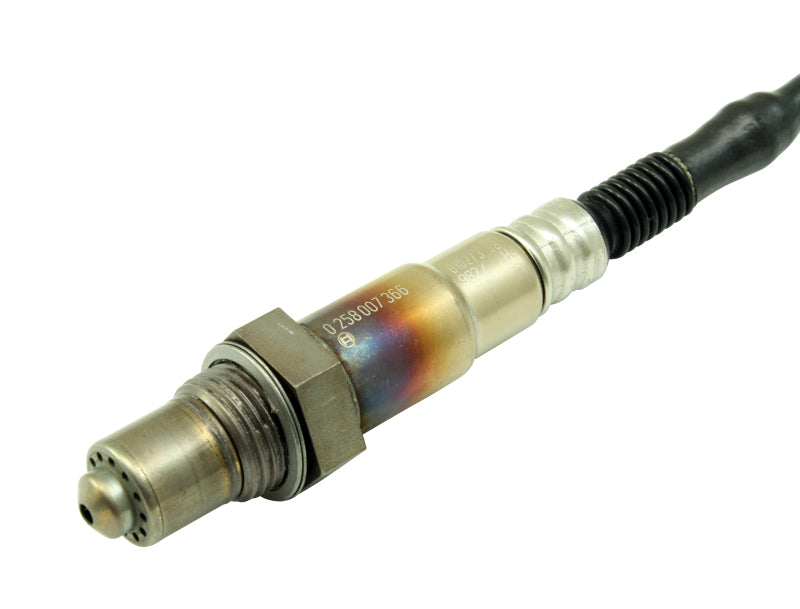 AEM Bosch UEGO Replacement Sensor - Blais Performance Parts