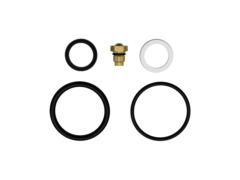 ICON 2.5 IFP Rebuild Kit - Blais Performance Parts