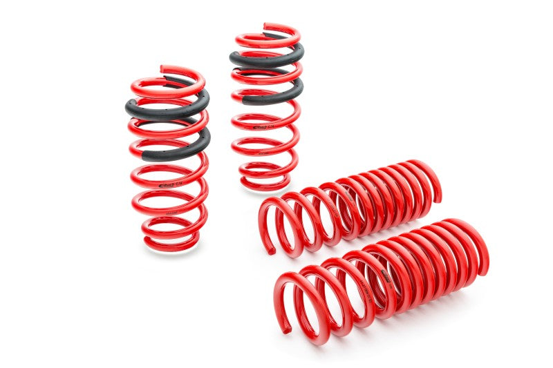 Eibach Sportline Springs for 13-16 BMW F30 320i - Blais Performance Parts